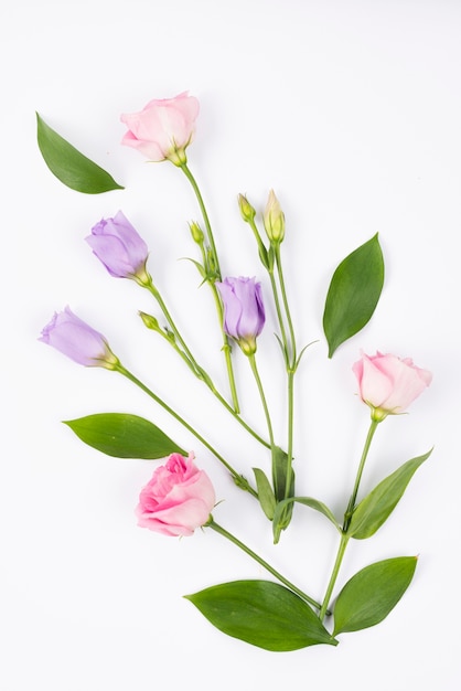 Composition de fleurs rose et lilas