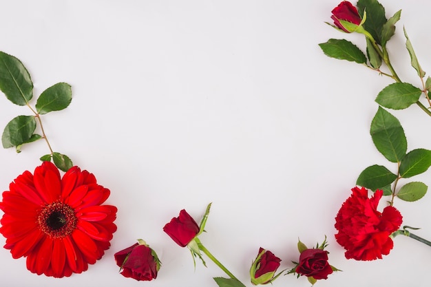 Composition de fleurs rouges sur blanc