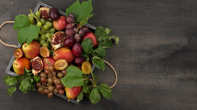 Composition de fruits d'automne avec espace copie