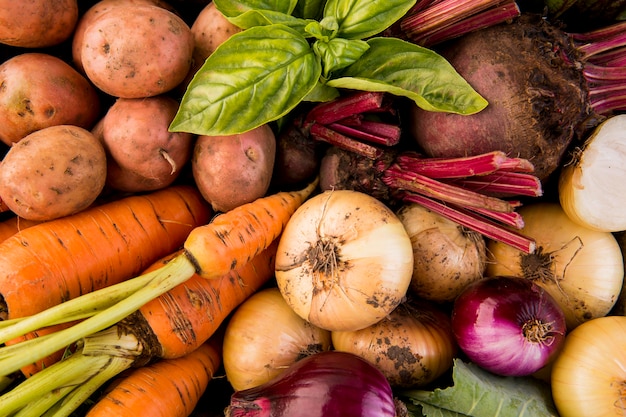 Photo gratuite composition de gros plan de différents légumes