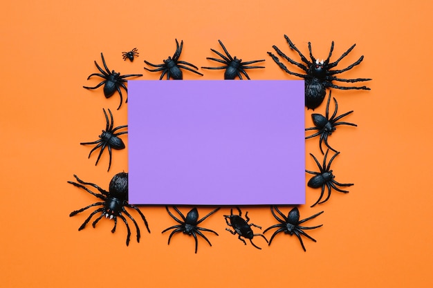 Composition d'Halloween avec des araignées