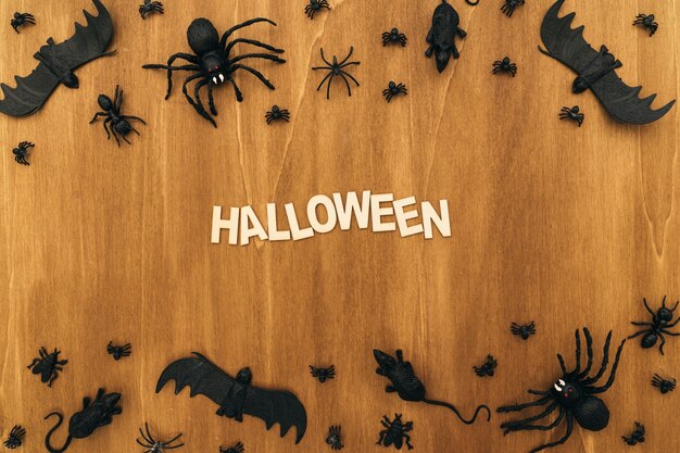 Composition d&#39;Halloween avec des insectes