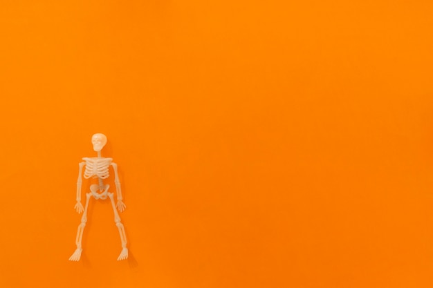 Composition d&#39;Halloween avec un seul squelette