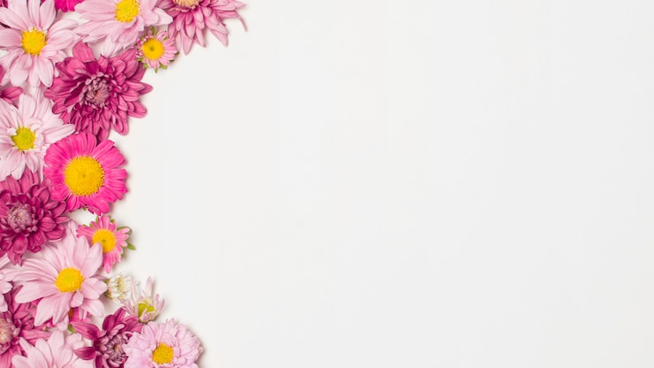 Photo gratuit composition de magnifiques fleurs roses