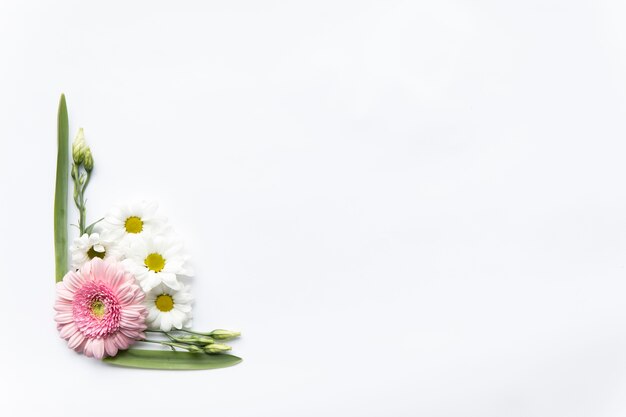 Composition de marguerites et de feuilles