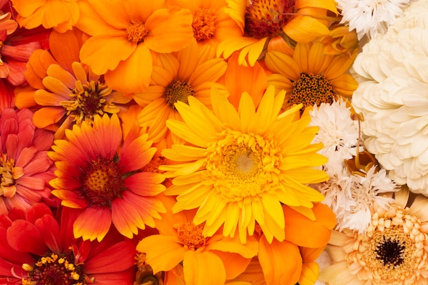 Composition de papier peint de belles fleurs