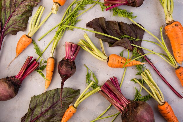 Composition à plat de différents légumes