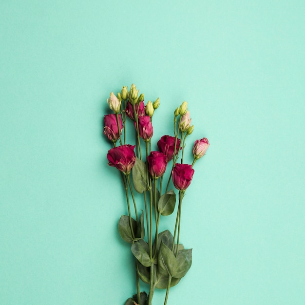 Composition plate de fleurs