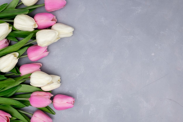 Composition de printemps avec des tulipes sur gris texturé