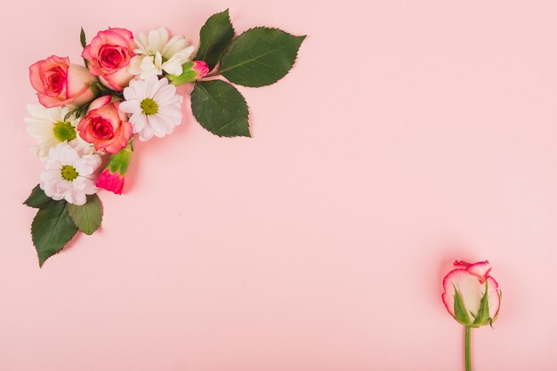 Composition de la rose près de la fleur