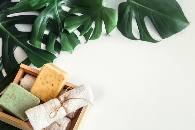 Composition de spa avec des feuilles tropicales sur fond blanc