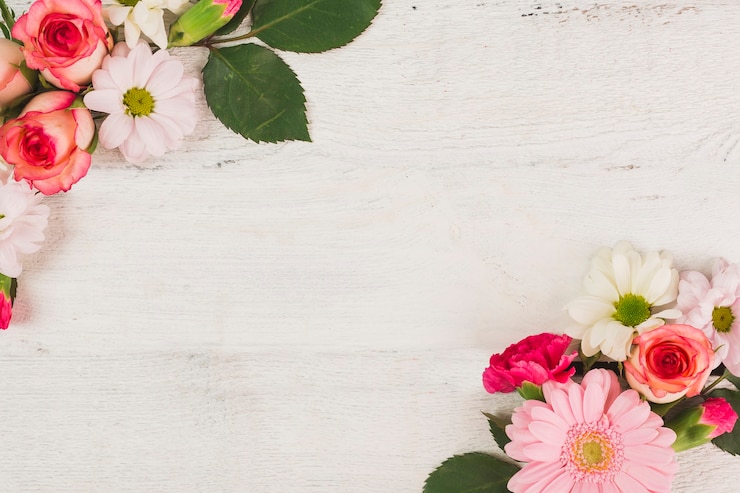 Photo gratuit compositions florales sur blanc