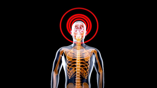 Photo gratuite concept d'anatomie 3d d'un homme aux rayons x