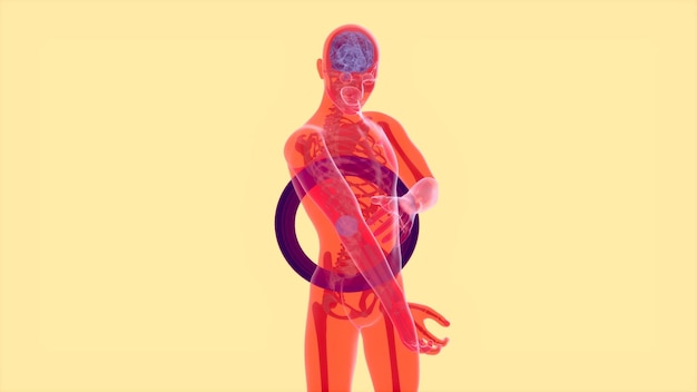 Photo gratuite concept d'anatomie abstraite 3d d'une douleur au coude