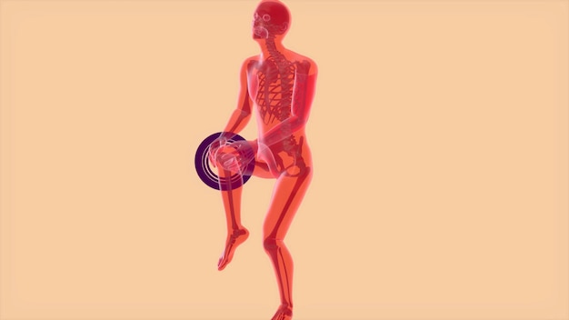 Photo gratuite concept d'anatomie abstraite 3d d'une douleur au genou