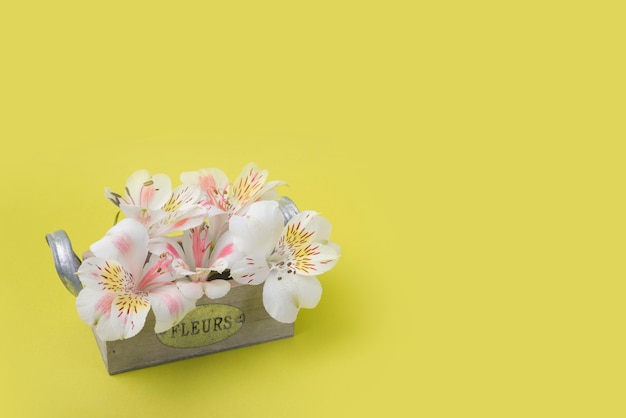 Photo gratuite concept de belles fleurs avec boîte en bois