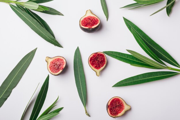 Concept de belles fleurs avec des feuilles et des fruits