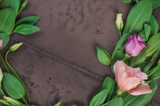 Photo gratuite concept de belles fleurs avec un style élégant