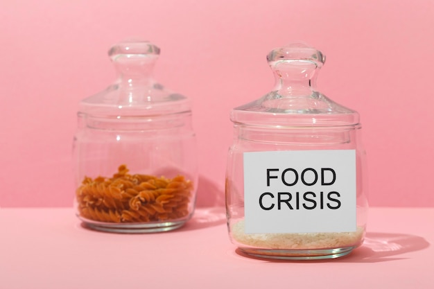 Photo gratuite concept de crise alimentaire avec arrangement de bocaux