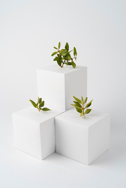 Concept de durabilité avec des formes géométriques et des plantes en croissance