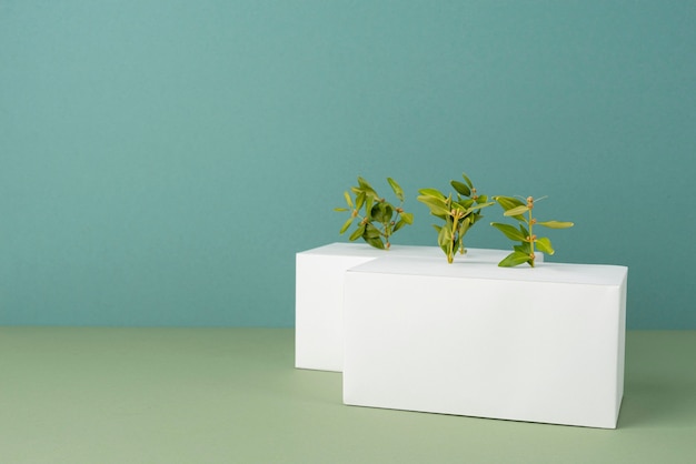 Concept de durabilité avec des formes géométriques et des plantes en croissance