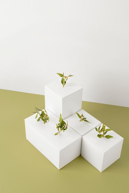 Photo gratuite concept de durabilité avec des plantes poussant à partir de formes géométriques vierges