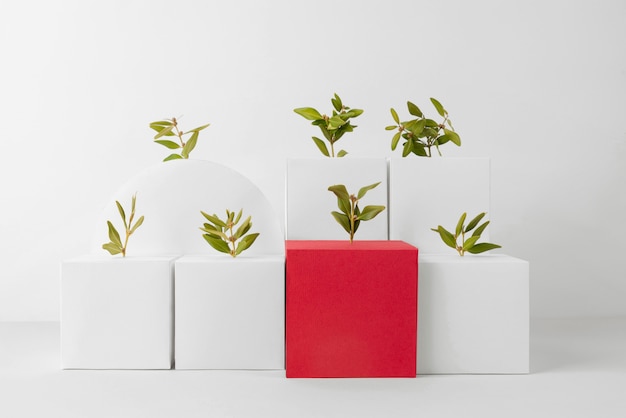 Photo gratuite concept de durabilité avec des plantes poussant à partir de formes géométriques