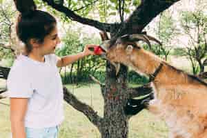 Photo gratuite concept de ferme avec fille et chèvre