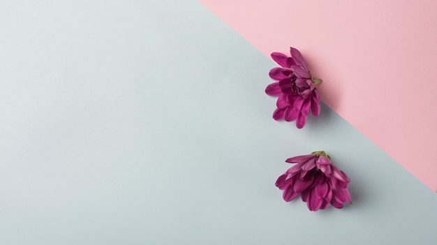 Photo gratuite concept de fleurs modernes au style élégant