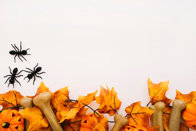 Photo gratuite concept d'halloween avec l'espace et les fourmis