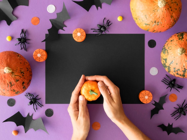 Concept d'halloween mignon avec espace copie