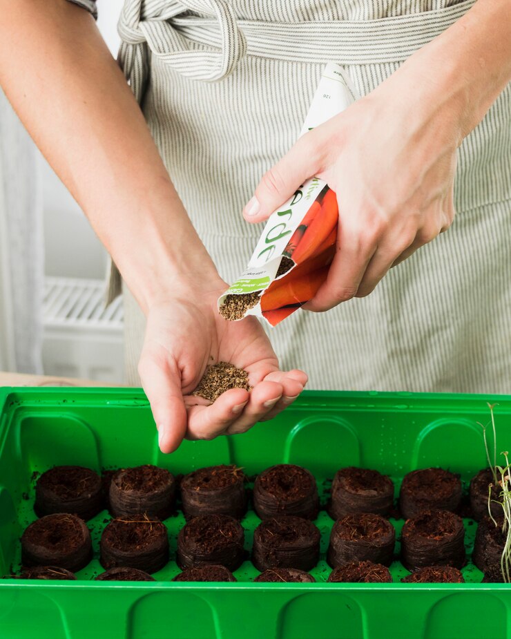 Photo gratuit concept de jardinage avec des mains féminines