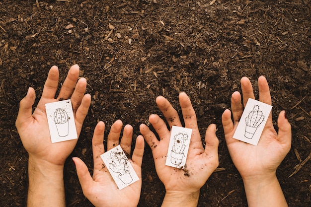 Concept de jardinage avec mains tenant des cartes