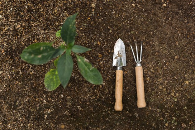 Concept de jardinage à plat