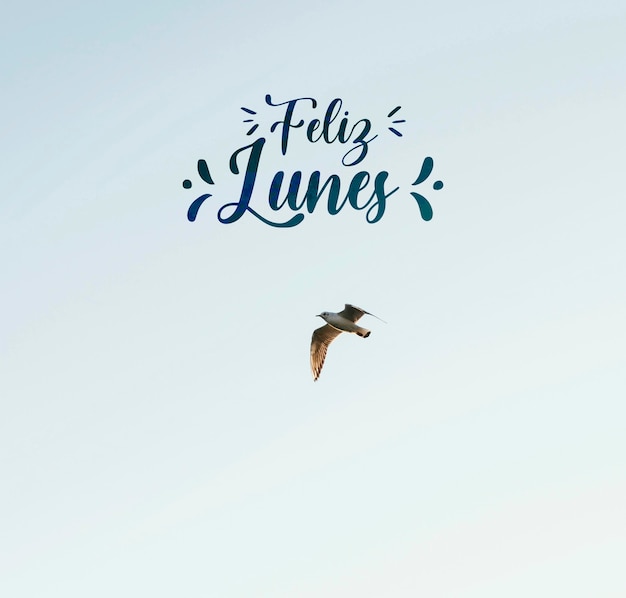 Photo gratuite concept de lundi heureux avec vol d'oiseau