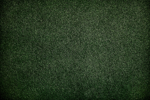 Concept de papier peint texture de surface herbe verte