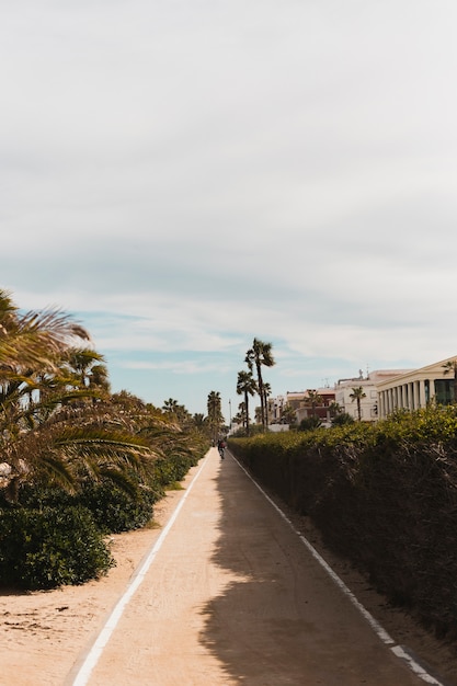 Concept de plage avec sentier