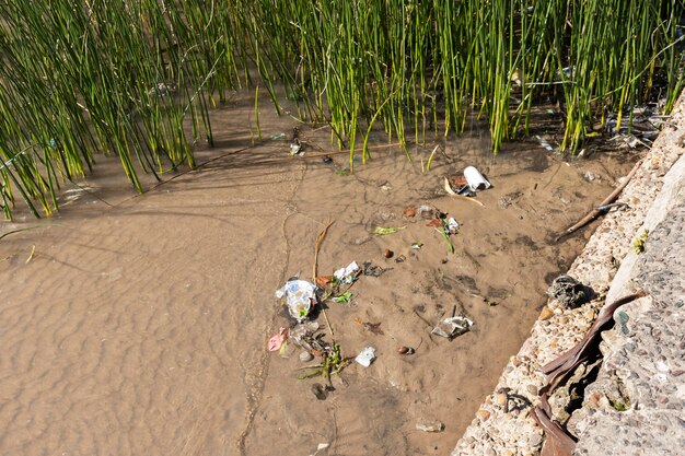 Concept de pollution de l'eau avec des ordures