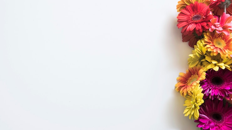 Photo gratuit concept de printemps avec des fleurs sur la droite