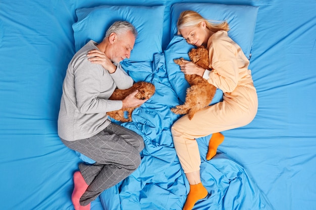 Concept de sommeil et de repos à la maison. Couple de personnes âgées se reposer avec de petits chiots de race au lit vêtus de vêtements de nuit, profiter d'une atmosphère paisible et d'une bonne nuit de sommeil. Vue grand angle