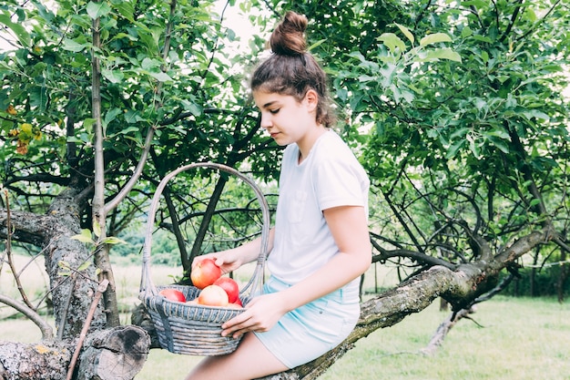 Photo gratuite concept de verger avec des pommes de collection femme