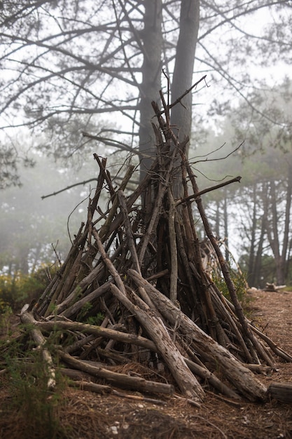 Photo gratuite concept de vie de campeur avec abri de branches