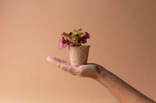 Concept de vie en pleine croissance avec des fleurs
