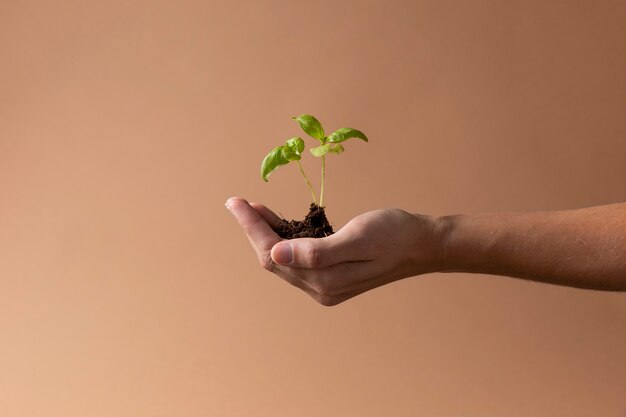 Concept de vie en pleine croissance avec des fleurs