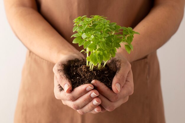 Concept de vie en pleine croissance avec des fleurs