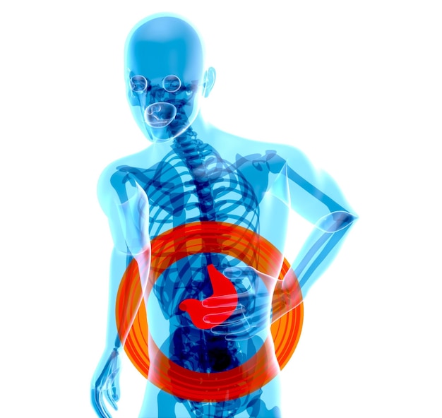 Photo gratuite conception abstraite d'anatomie de l'estomac