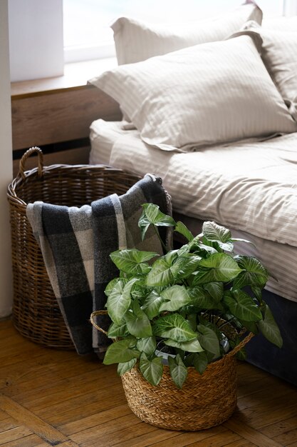 Conception de chambre avec lit et plante en pot