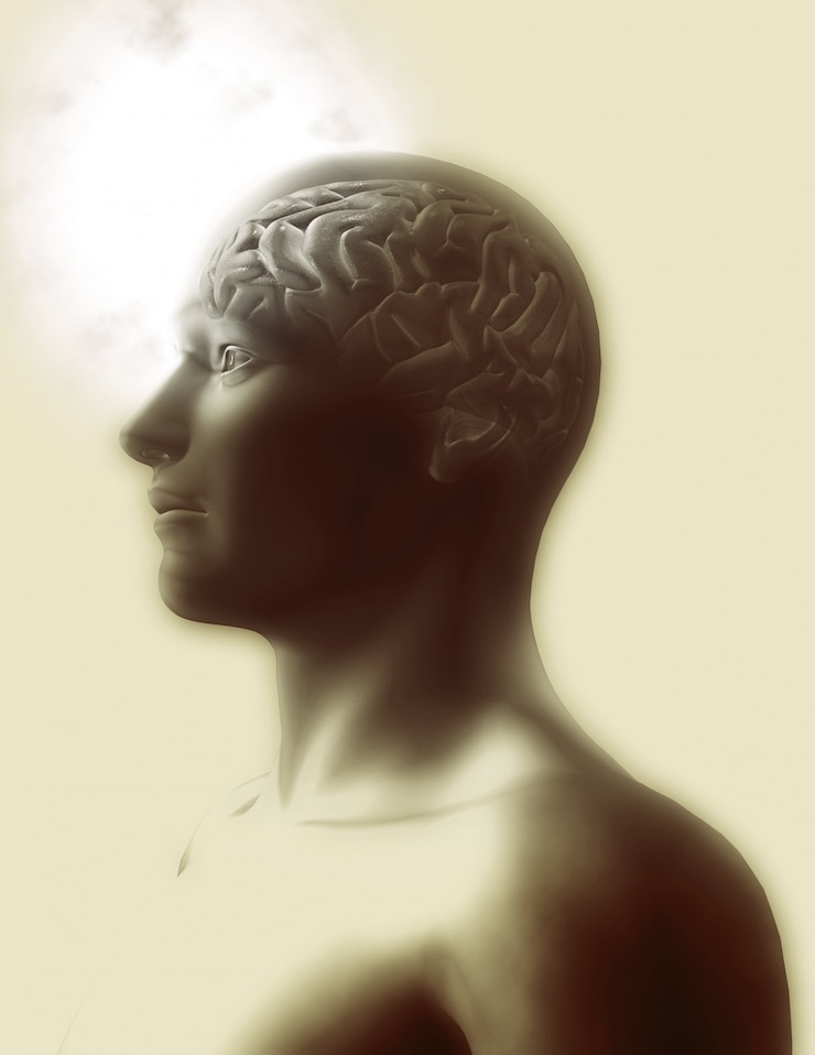 Photo gratuit la conception du cerveau humain