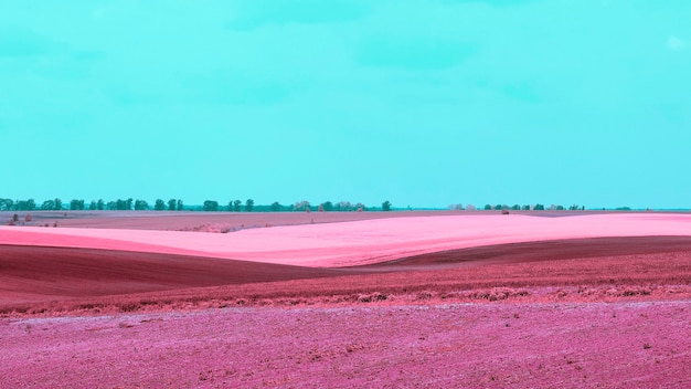 Photo gratuite conception de paysage pop lumineux