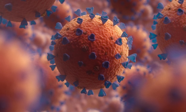 Conception de la structure du coronavirus
